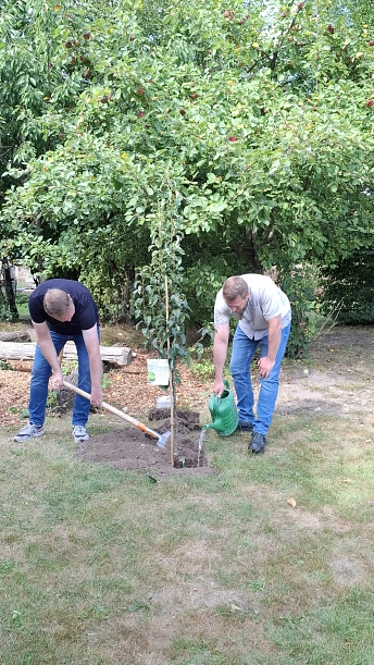 Baumpflanzchallenge hochkant II.jpg