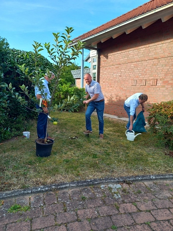 BGM Baumpflanzchallenge II.JPG