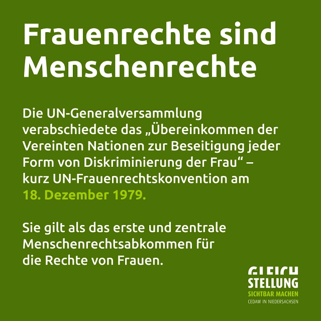 cedaw-slide-2b.jpg