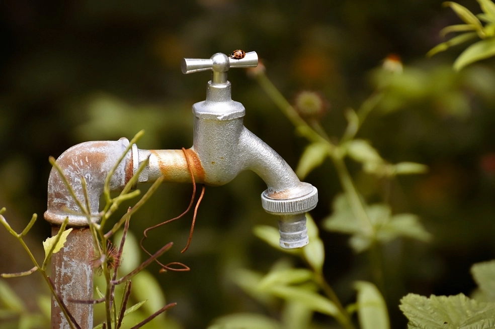 Ein Gartenwasserzähler im Grünen.&nbsp;&copy;&nbsp;pixabay.com