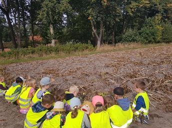 Kartoffelernte in der Kindertagesstätte „Landkinder“&nbsp;&copy;&nbsp;Samtgemeinde Fintel