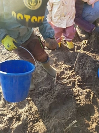 Kartoffelernte in der Kindertagesstätte „Landkinder“&nbsp;&copy;&nbsp;Samtgemeinde Fintel