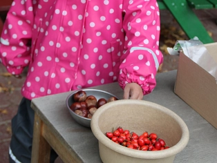 Kindertagesstätte „Alte Post“ Spaziergang und Basteln&nbsp;&copy;&nbsp;Samtgemeinde Fintel