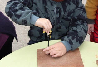 Kindertagesstätte „Alte Post“ Spaziergang und Basteln&nbsp;&copy;&nbsp;Samtgemeinde Fintel