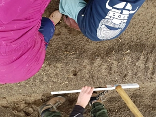 Kindertagesstätte Landkinder Kartoffelprojekt&nbsp;&copy;&nbsp;Samtgemeinde Fintel