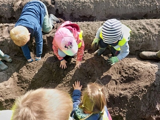 Kindertagesstätte Landkinder Kartoffelprojekt&nbsp;&copy;&nbsp;Samtgemeinde Fintel