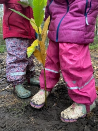 Kindertagesstätte „Löwenburg“ - Pflanzaktion&nbsp;&copy;&nbsp;Stiftung Zukunft Wald