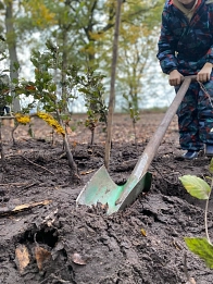 Kindertagesstätte „Löwenburg“ - Pflanzaktion&nbsp;&copy;&nbsp;Stiftung Zukunft Wald