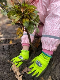 Kindertagesstätte „Löwenburg“ - Pflanzaktion&nbsp;&copy;&nbsp;Stiftung Zukunft Wald